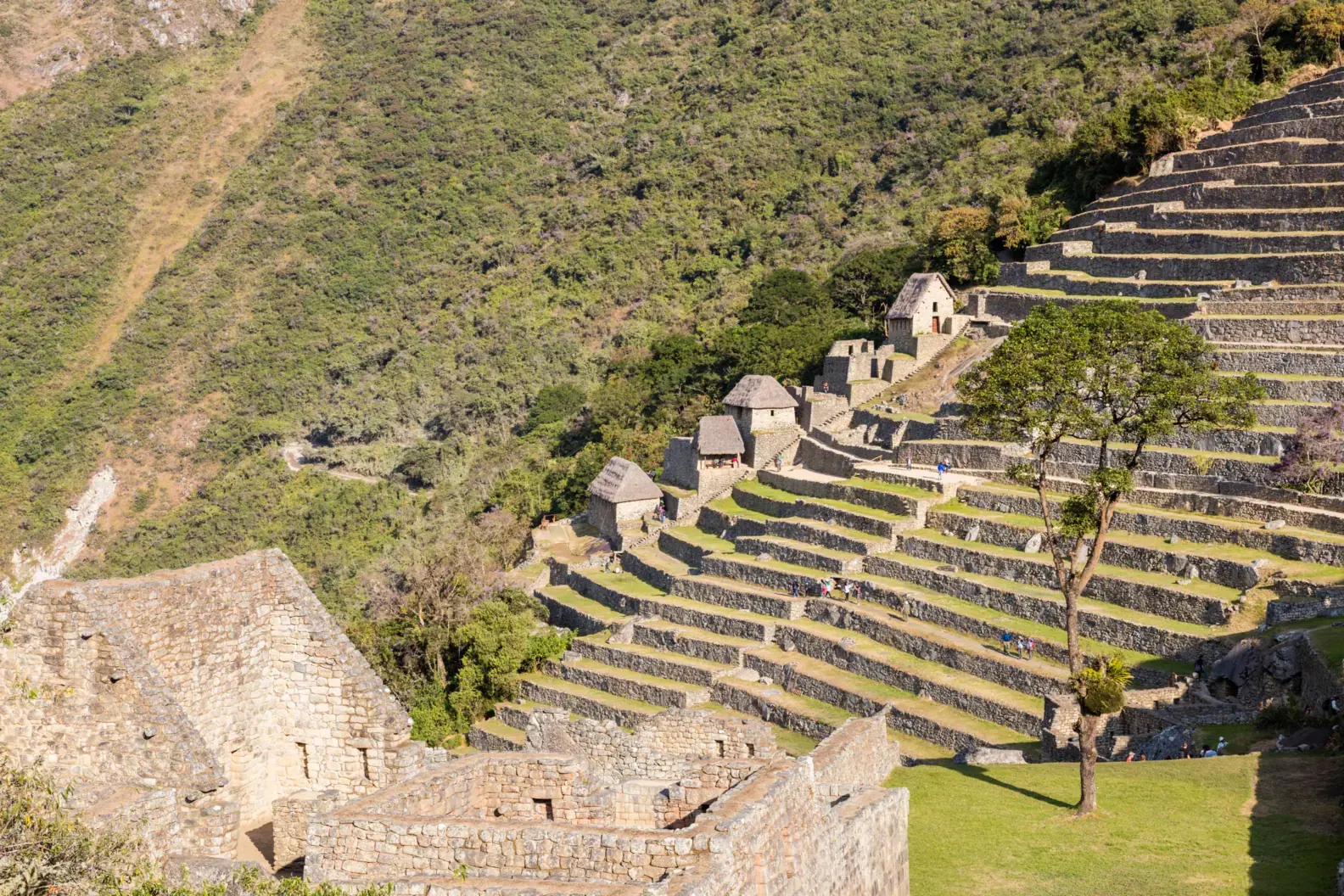 Inca agricultural terraces descending the green slope of Machu Picchu, with mountains in the background